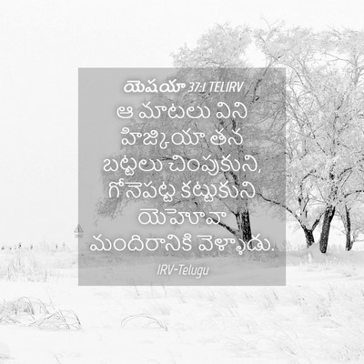Picture 04 - యెషయా 37:1 TELIRV - ఆ మాటలు విని - Bible Verse Picture