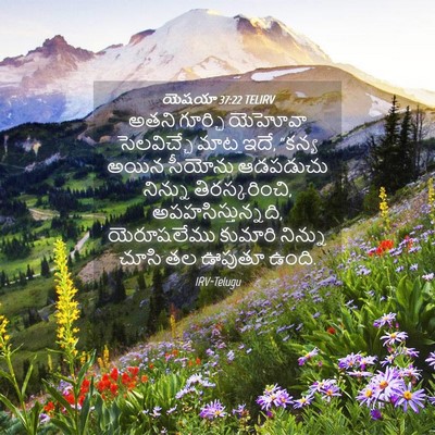 Picture 04 - యెషయా 37:22 TELIRV - అతని గూర్చి - Bible Verse Picture