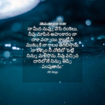 Picture 04 - యెషయా 37:29 TELIRV - నా మీద నువ్వు వేసే - Bible Verse Picture