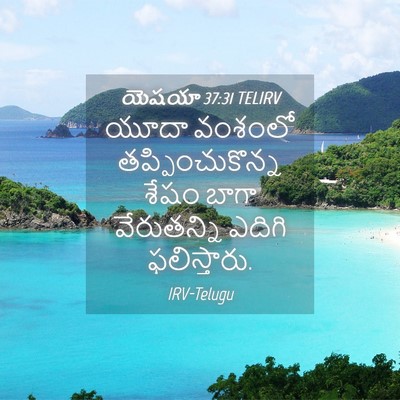Picture 04 - యెషయా 37:31 TELIRV - యూదా వంశంలో - Bible Verse Picture