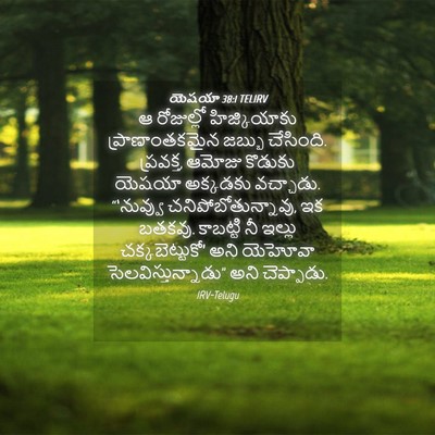 Picture 04 - యెషయా 38:1 TELIRV - ఆ రోజుల్లో - Bible Verse Picture