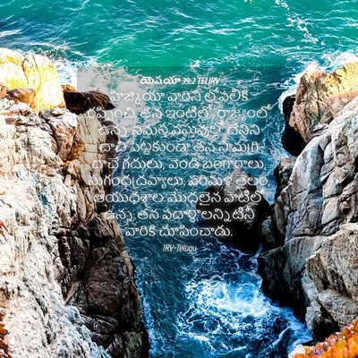 Picture 04 - యెషయా 39:2 TELIRV - హిజ్కియా వారిని - Bible Verse Picture