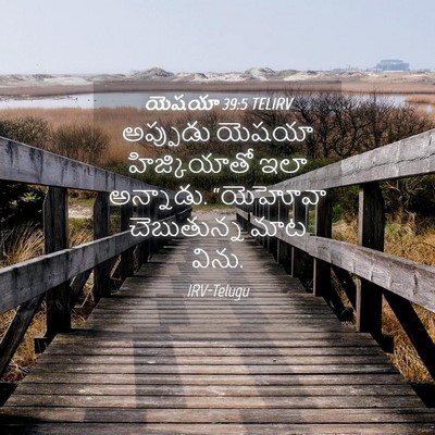 Picture 04 - యెషయా 39:5 TELIRV - అప్పుడు యెషయా - Bible Verse Picture