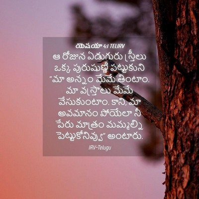 Picture 04 - యెషయా 4:1 TELIRV - ఆ రోజున ఏడుగురు - Bible Verse Picture
