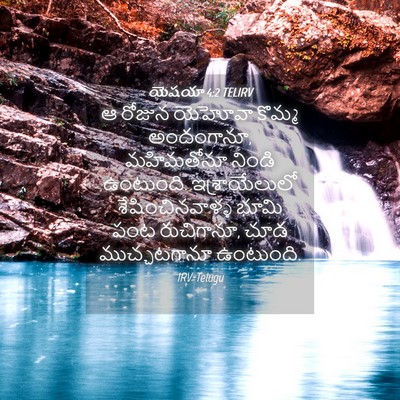 Picture 04 - యెషయా 4:2 TELIRV - ఆ రోజున యెహోవా - Bible Verse Picture