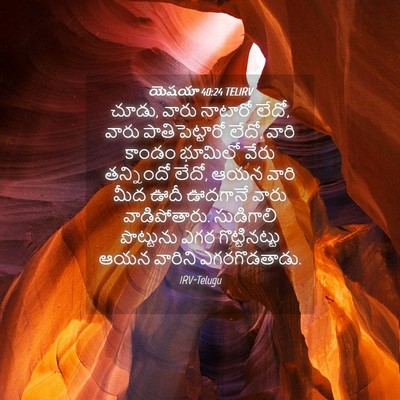 Picture 04 - యెషయా 40:24 TELIRV - చూడు, వారు నాటారో - Bible Verse Picture