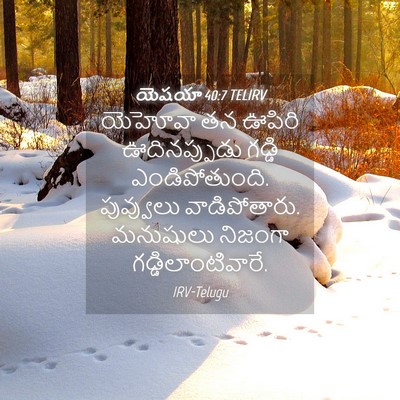 Picture 04 - యెషయా 40:7 TELIRV - యెహోవా తన ఊపిరి - Bible Verse Picture