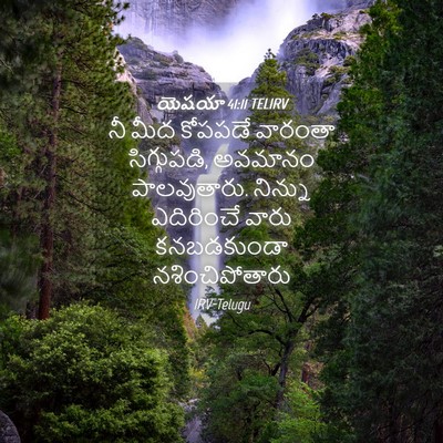 Picture 04 - యెషయా 41:11 TELIRV - నీ మీద కోపపడే - Bible Verse Picture