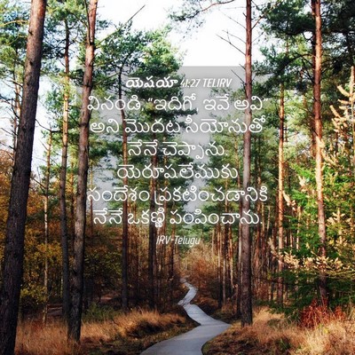 Picture 04 - యెషయా 41:27 TELIRV - వినండి, “ఇదిగో, ఇవే - Bible Verse Picture