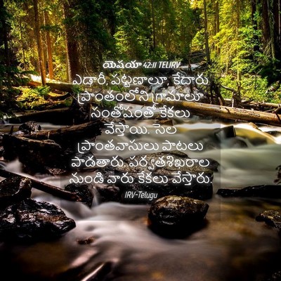 Picture 04 - యెషయా 42:11 TELIRV - ఎడారీ, పట్టణాలూ, - Bible Verse Picture