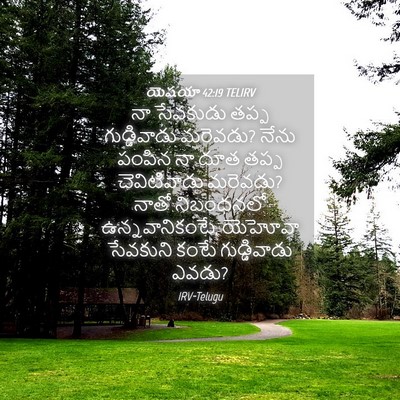 Picture 04 - యెషయా 42:19 TELIRV - నా సేవకుడు తప్ప - Bible Verse Picture