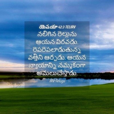 Picture 04 - యెషయా 42:3 TELIRV - నలిగిన రెల్లును - Bible Verse Picture