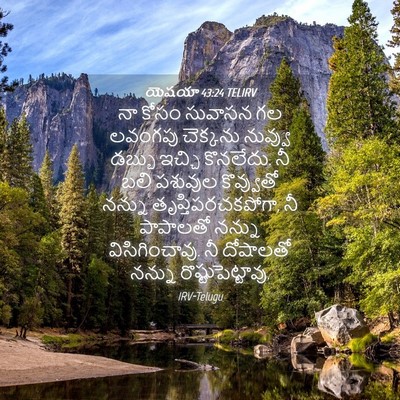 Picture 04 - యెషయా 43:24 TELIRV - నా కోసం సువాసన గల - Bible Verse Picture
