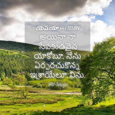Picture 04 - యెషయా 44:1 TELIRV - అయినా నా - Bible Verse Picture