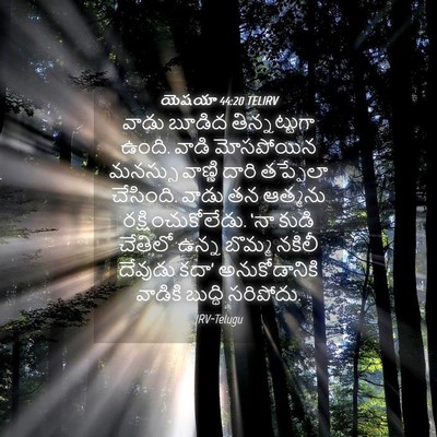 Picture 04 - యెషయా 44:20 TELIRV - వాడు బూడిద - Bible Verse Picture
