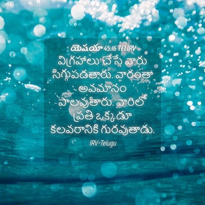 Picture 04 - యెషయా 45:16 TELIRV - విగ్రహాలు చేసే - Bible Verse Picture