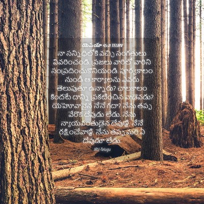 Picture 04 - యెషయా 45:21 TELIRV - నా సన్నిధిలోకి - Bible Verse Picture