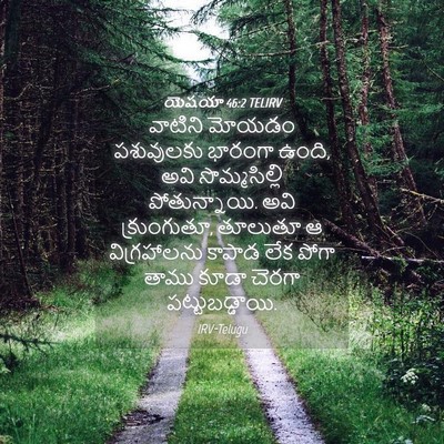 Picture 04 - యెషయా 46:2 TELIRV - వాటిని మోయడం - Bible Verse Picture