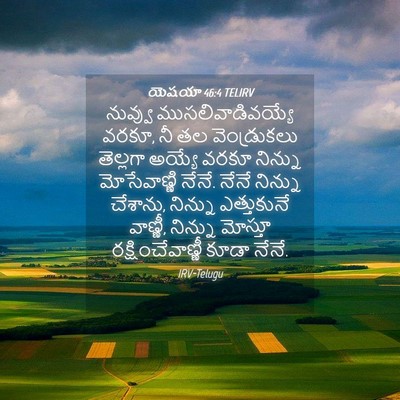 Picture 04 - యెషయా 46:4 TELIRV - నువ్వు - Bible Verse Picture