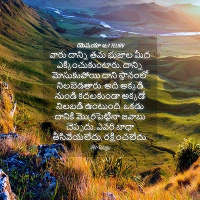 Picture 04 - యెషయా 46:7 TELIRV - వారు దాన్ని తమ - Bible Verse Picture