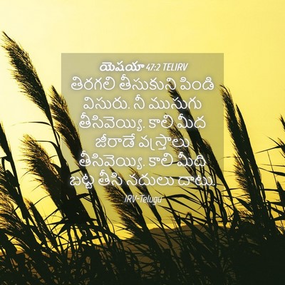 Picture 04 - యెషయా 47:2 TELIRV - తిరగలి తీసుకుని - Bible Verse Picture