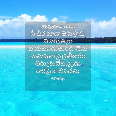 Picture 04 - యెషయా 47:3 TELIRV - నీ చీర కూడా - Bible Verse Picture