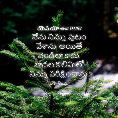 Picture 04 - యెషయా 48:10 TELIRV - నేను నిన్ను పుటం - Bible Verse Picture