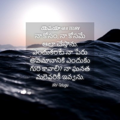 Picture 04 - యెషయా 48:11 TELIRV - నా కోసం, నా కోసమే - Bible Verse Picture