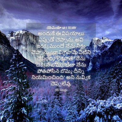 Picture 04 - యెషయా 48:5 TELIRV - అందుకే ఈ విషయాలు - Bible Verse Picture