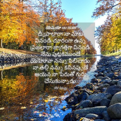 Picture 04 - యెషయా 49:1 TELIRV - ద్వీపాల్లారా! నా - Bible Verse Picture