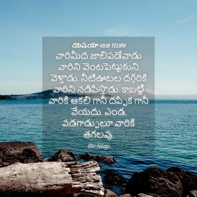 Picture 04 - యెషయా 49:10 TELIRV - వారిమీద - Bible Verse Picture