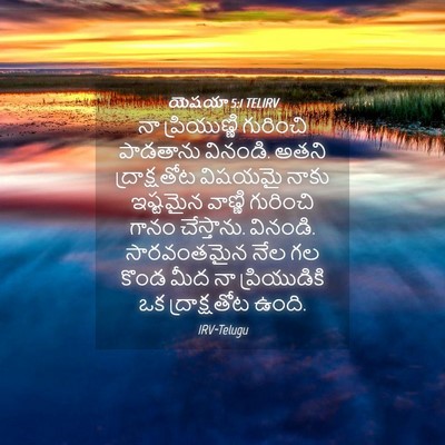 Picture 04 - యెషయా 5:1 TELIRV - నా ప్రియుణ్ణి - Bible Verse Picture