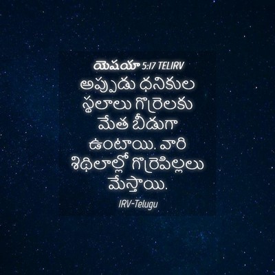 Picture 04 - యెషయా 5:17 TELIRV - అప్పుడు ధనికుల - Bible Verse Picture