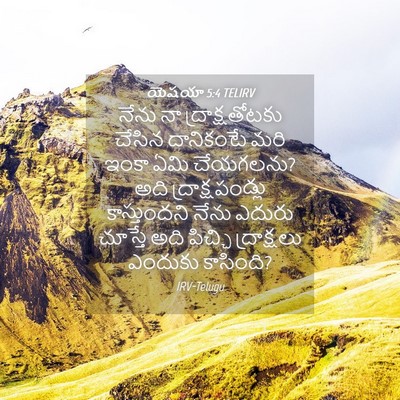 Picture 04 - యెషయా 5:4 TELIRV - నేను నా - Bible Verse Picture