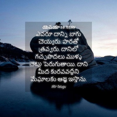 Picture 04 - యెషయా 5:6 TELIRV - ఎవరూ దాన్ని బాగు - Bible Verse Picture