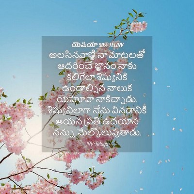 Picture 04 - యెషయా 50:4 TELIRV - అలసినవాణ్ణి నా - Bible Verse Picture