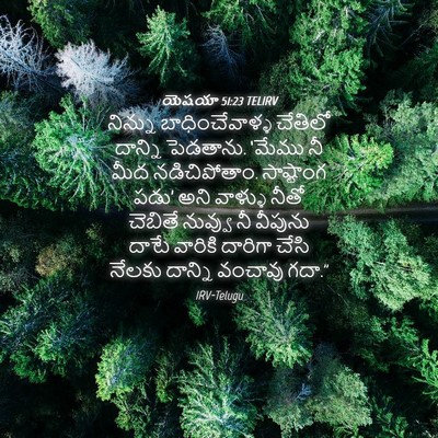 Picture 04 - యెషయా 51:23 TELIRV - నిన్ను - Bible Verse Picture