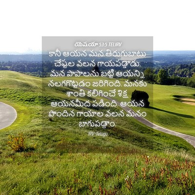 Picture 04 - యెషయా 53:5 TELIRV - కానీ ఆయన మన - Bible Verse Picture