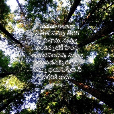 Picture 04 - యెషయా 54:14 TELIRV - నీతితో నిన్ను - Bible Verse Picture