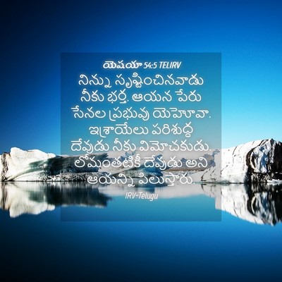 Picture 04 - యెషయా 54:5 TELIRV - నిన్ను - Bible Verse Picture