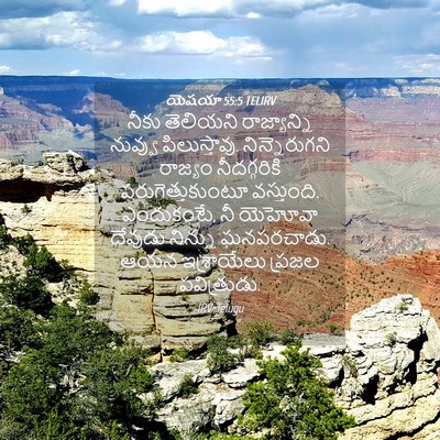 Picture 04 - యెషయా 55:5 TELIRV - నీకు తెలియని - Bible Verse Picture
