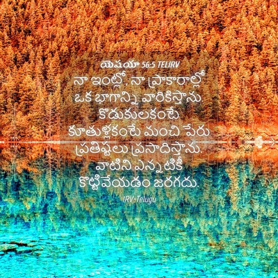 Picture 04 - యెషయా 56:5 TELIRV - నా ఇంట్లో, నా - Bible Verse Picture