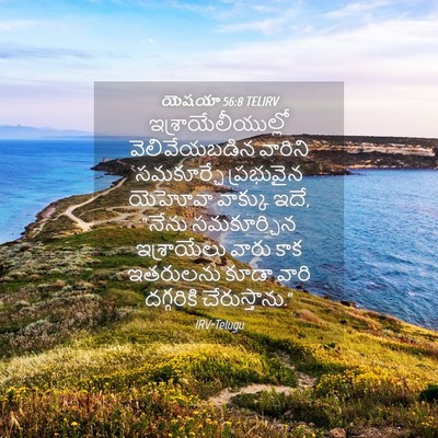 Picture 04 - యెషయా 56:8 TELIRV - ఇశ్రాయేలీయుల్లో - Bible Verse Picture