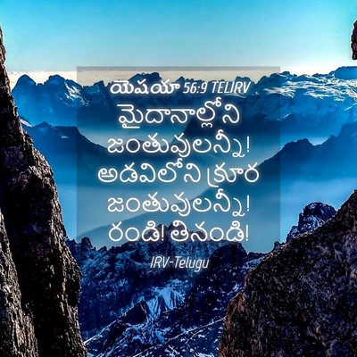 Picture 04 - యెషయా 56:9 TELIRV - మైదానాల్లోని - Bible Verse Picture