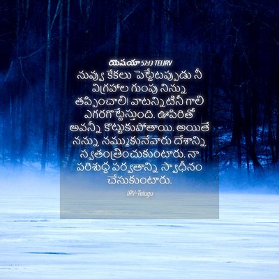 Picture 04 - యెషయా 57:13 TELIRV - నువ్వు కేకలు - Bible Verse Picture
