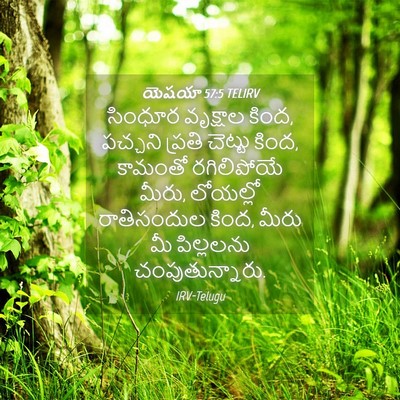 Picture 04 - యెషయా 57:5 TELIRV - సింధూర వృక్షాల - Bible Verse Picture