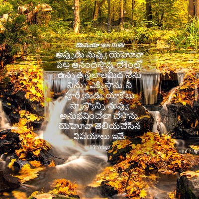 Picture 04 - యెషయా 58:14 TELIRV - అప్పుడు నువ్వు - Bible Verse Picture