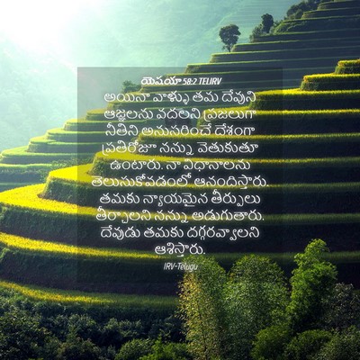 Picture 04 - యెషయా 58:2 TELIRV - అయినా వాళ్ళు తమ - Bible Verse Picture