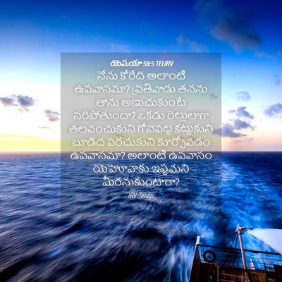 Picture 04 - యెషయా 58:5 TELIRV - నేను కోరేది - Bible Verse Picture