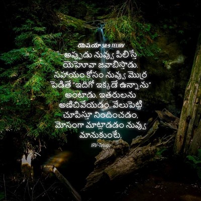 Picture 04 - యెషయా 58:9 TELIRV - అప్పుడు నువ్వు - Bible Verse Picture